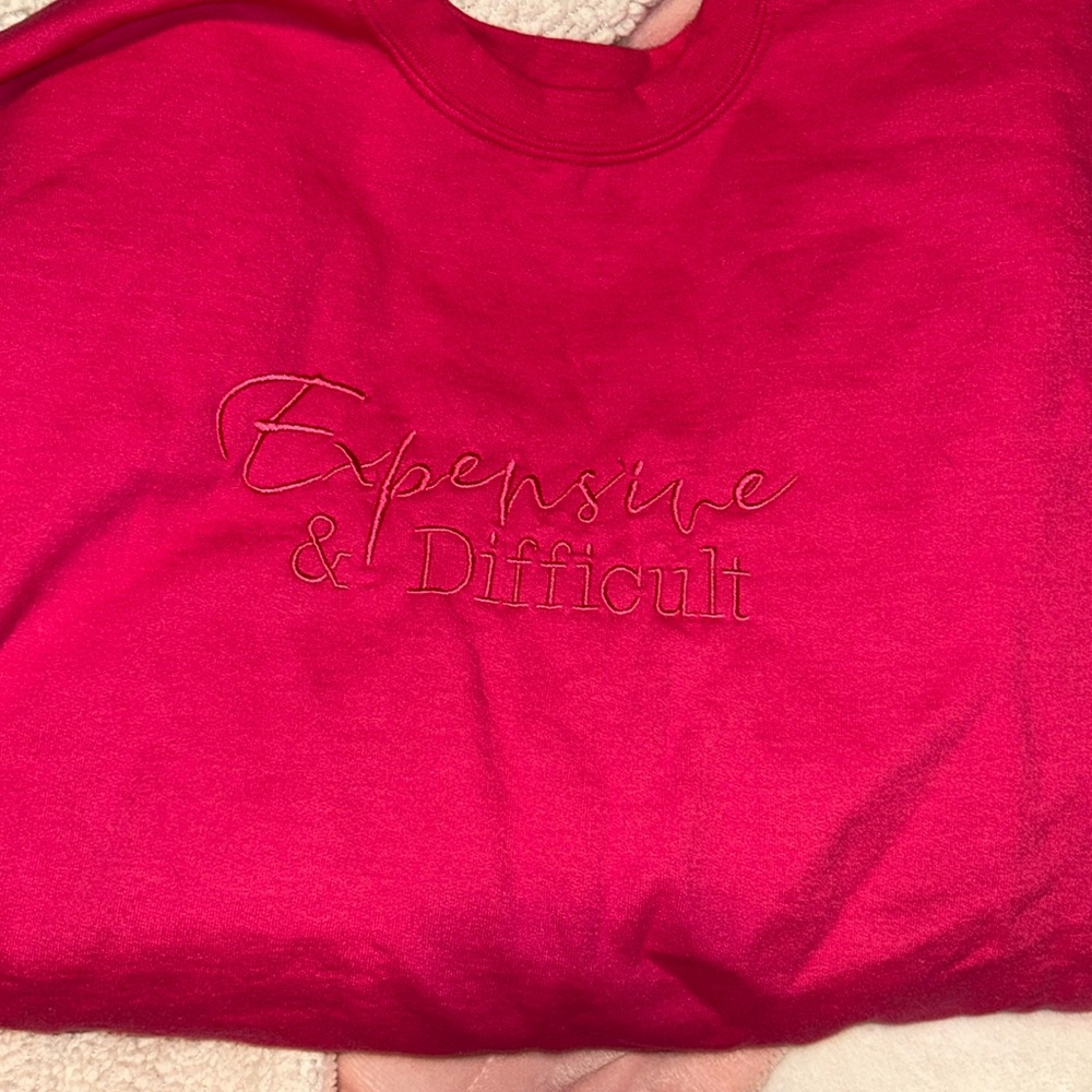 Embroidered “expensive & difficult” Sweatshirt